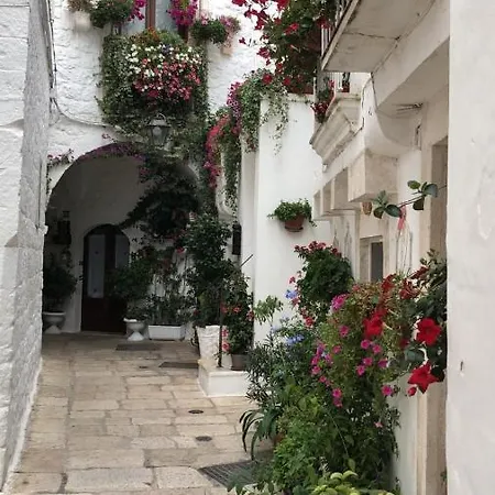 Trulli Conti Grande Spazio Alberato Incontaminato- Prenotazione Esclusiva *