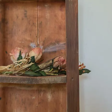 Tatil Evi Trulli Conti Grande Spazio Alberato Incontaminato- Prenotazione Esclusiva Cisternino